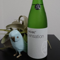 
            SENSATION_
            そらまめさん