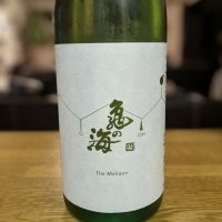 亀の海