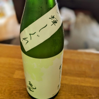 
            亀の海_
            金ブラさん