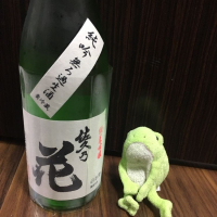 
            佐久乃花_
            かえるやろうさん