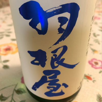 富山県の酒