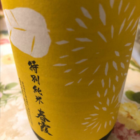 春霞