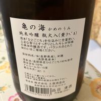 亀の海のレビュー by_Kiyotaka  Hata