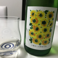 宮城県の酒