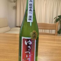 新潟県の酒