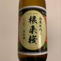 根来桜_まさやんの穴る。さん