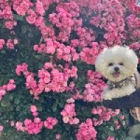 ゆぴぱ☆