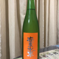 安東水軍