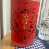 SENSATIONのレビュー by_パパパK