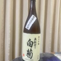 奥能登の白菊