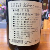 風が吹くのレビュー by_パパパK