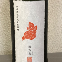 陽乃鳥