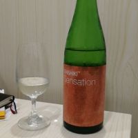 
            SENSATION_
            坂谷知人さん