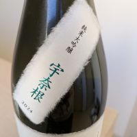 而今のレビュー by_Cutie Dog