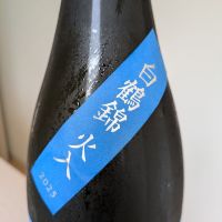 而今のレビュー by_Cutie Dog