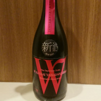 
            W（ダブリュー）_
            務め人苦弊死さん