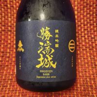 勝瑞城