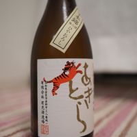 高知県の酒