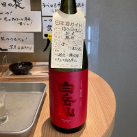 福井県の酒