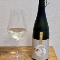 甲子のレビュー by_DENVIVO