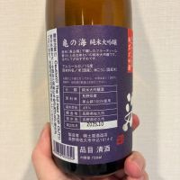 亀の海のレビュー by_DENVIVO