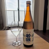 若波のレビュー by_DENVIVO