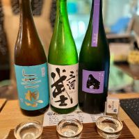 三河武士