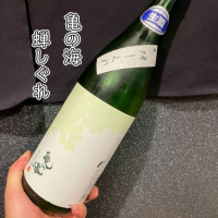 
            亀の海_
            DENVIVOさん