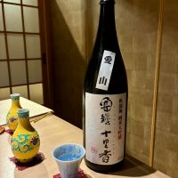 臥龍梅
