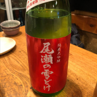 
            尾瀬の雪どけ_
            DENVIVOさん