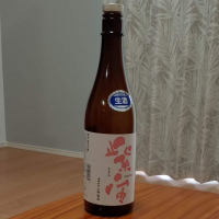 紫宙