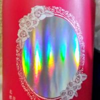 南部美人