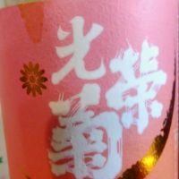 光栄菊