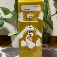 
            菊正宗_
            calm さん