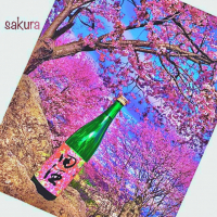 田酒のレビュー by_calm 