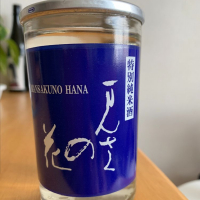 
            まんさくの花_
            calm さん
