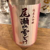 尾瀬の雪どけ