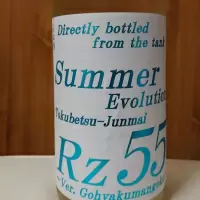 Rz55