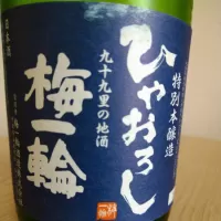 梅一輪_とよふたさん