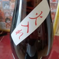 勢正宗のレビュー by_とよふた
