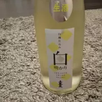 上喜元