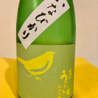 
            庭のうぐいす_
            Matsukosakeさん