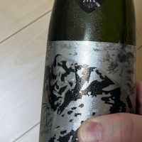 サビ猫ロック