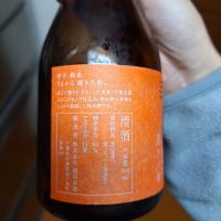 甲子のレビュー by_muuuuu