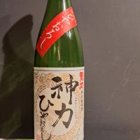 龍力