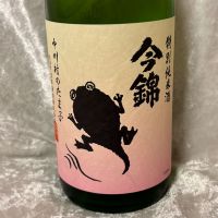 今錦