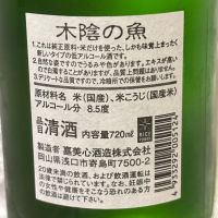 木陰の魚のレビュー by_すぎちゃんの冒険