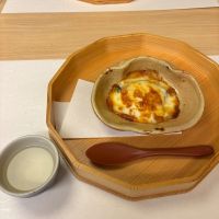 出雲富士のレビュー by_すぎちゃんの冒険