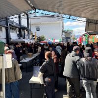 キンシ正宗（金鵄正宗）のレビュー by_すぎちゃんの冒険