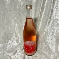 天山のレビュー by_すぎちゃんの冒険